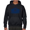 Heavy Blend Adult Hooded Sweatshirt Thumbnail