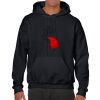Heavy Blend Adult Hooded Sweatshirt Thumbnail