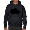 Heavy Blend Adult Hooded Sweatshirt Thumbnail