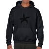 Heavy Blend Adult Hooded Sweatshirt Thumbnail