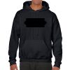 Heavy Blend Adult Hooded Sweatshirt Thumbnail