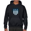 Heavy Blend Adult Hooded Sweatshirt Thumbnail