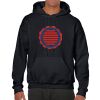 Heavy Blend Adult Hooded Sweatshirt Thumbnail