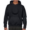 Heavy Blend Adult Hooded Sweatshirt Thumbnail