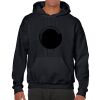 Heavy Blend Adult Hooded Sweatshirt Thumbnail