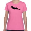 Heavy Cotton Women's T-Shirt Thumbnail